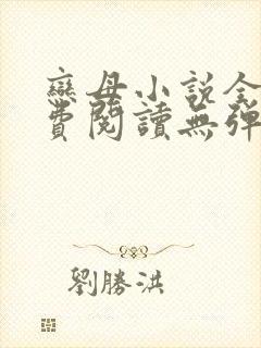 恋母小说全文免费阅读无弹窗笔趣阁