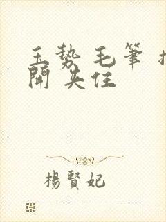 玉势 毛笔 撑开 夹住