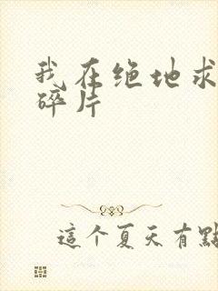 我在绝地求生捡碎片