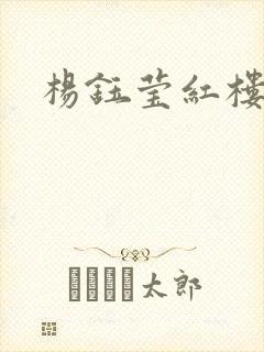 杨钰莹红楼