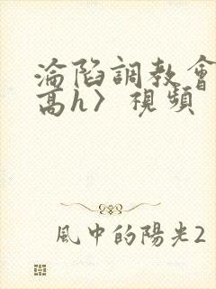 沦陷调教会所〈高h〉视频