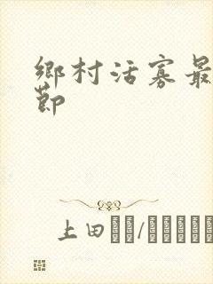 乡村活寡最新章节