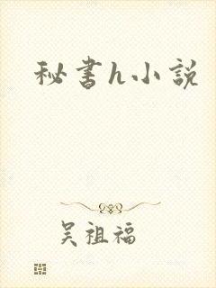 秘书h小说