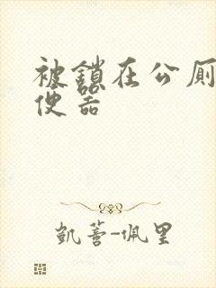 被锁在公厕当坐便器