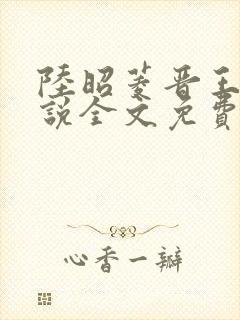 陆昭菱晋王的小说全文免费阅读