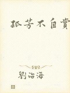 孤芳不自赏小说