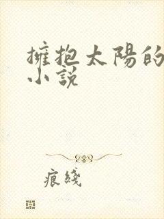 拥抱太阳的月亮小说