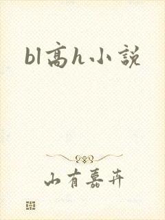 bl高h小说