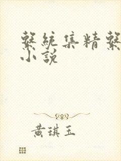 系统集精系统 小说