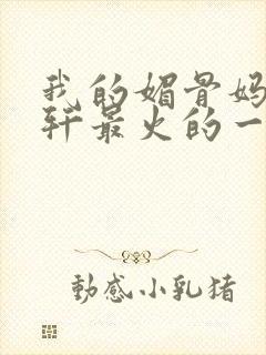 我的媚骨妈妈林轩最火的一句