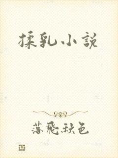 揉乳小说