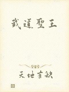 武道圣王