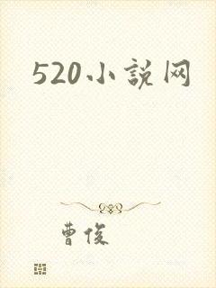 520小说网