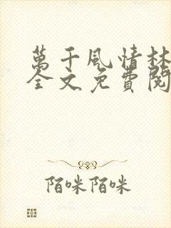 万千风情林小涛全文免费阅读