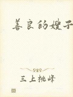 善良的嫂子小说