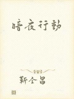 暗夜行动