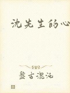 沈先生的心头宝