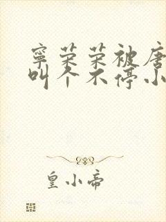 宁荣荣被唐三桶叫个不停小说