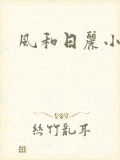 风和日丽小说