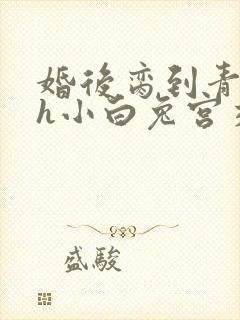 婚后脔到青梅哭h小白兔宫交h