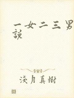 一女二三男事小说