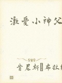 激爱小神父