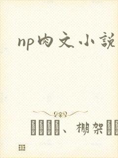 np肉文小说