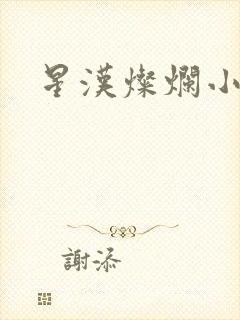 星汉灿烂小说