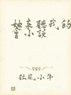 她来听我的演唱会小说