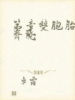 第章双胞胎姐妹齐飞