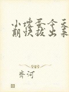 小坏蛋今天危险期快拔出来