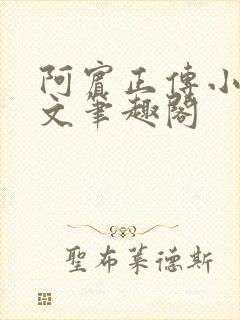 阿宾正传小说全文笔趣阁