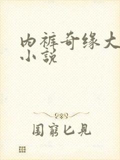 内裤奇缘大团结小说