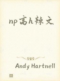 np高h辣文