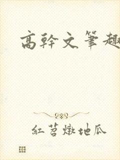 高干文笔趣阁