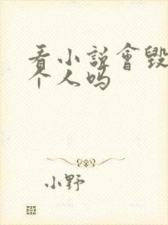 看小说会毁掉一个人吗