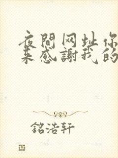 夜间网址你会回来感谢我的