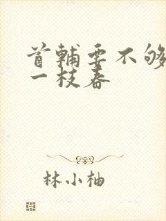 首辅要不够po一枝春