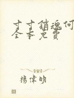 寸寸销魂何生祥全本免费