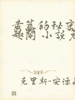 黄蓉的秘密 笔趣阁 小说免费阅读下载