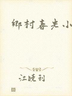 乡村春光小说