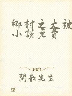 乡村之大被同眠小说免费