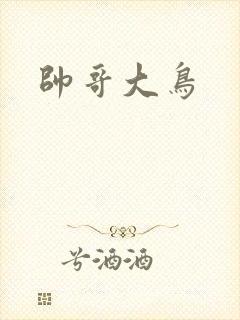 帅哥大鸟