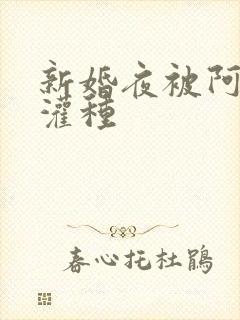 新婚夜被阿龟强灌种