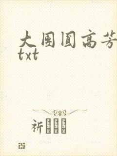 大团圆高芳小说txt