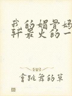 我的媚骨妈妈林轩最火的一句