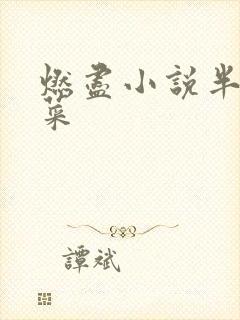 燃尽小说半截白菜