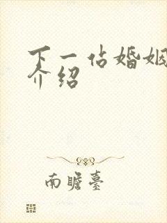 下一站婚姻剧情介绍