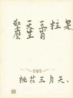 擎天玉柱是指什么生肖