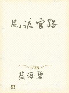 风流官路